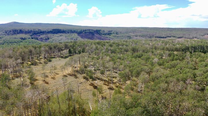 Property Photo: 49.72 Acres UT 84720