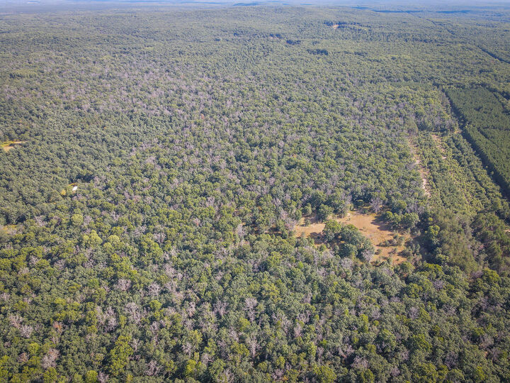 Property Photo: W 10 Mile Road MI 49644