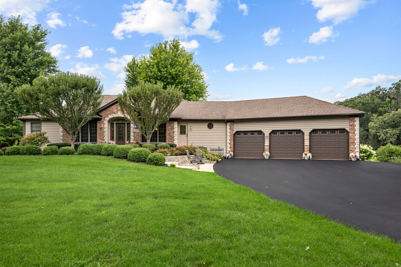Property Photo:  11119 Pebble Drive  IL 60142 