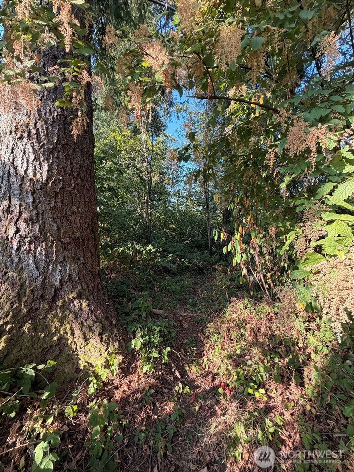 Property Photo:  15620  Goldbar Drive  WA 98251 