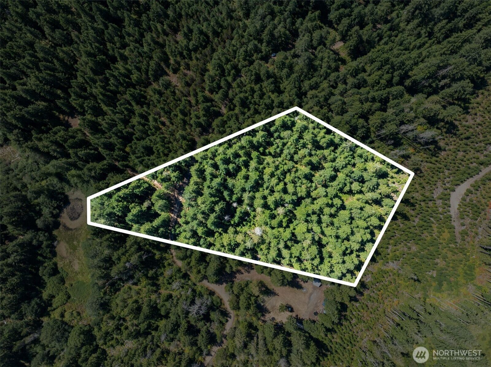 Property Photo:  2461 W Hanks Lake Road  WA 98584 