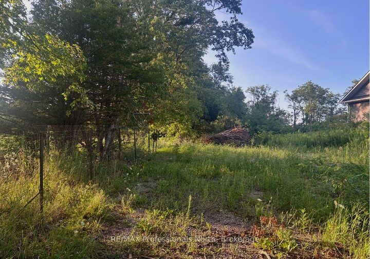 4437 Highway 7 N/A — photo 1