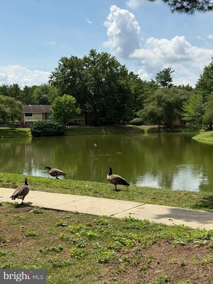 Property Photo:  1097 Corbridge Court  NJ 08043 