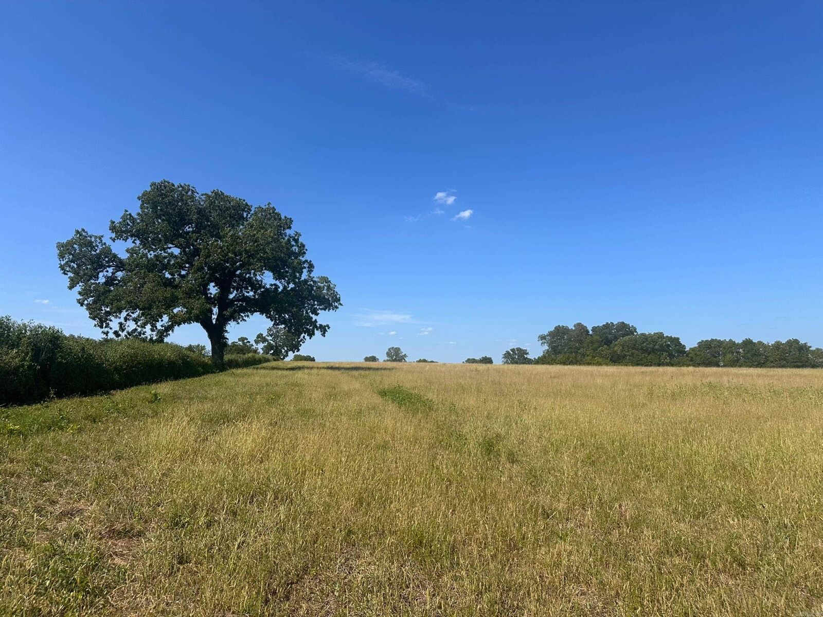 Property Photo:  00 Hasley Road  AR 71998 