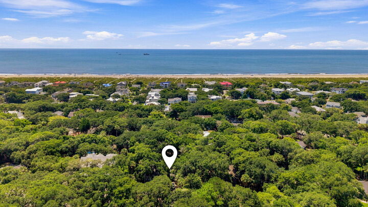 Property Photo:  256 Forest Trail  SC 29451 