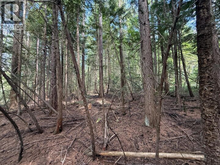 Property Photo:  Claybrick Road  BC V0G 2J0 