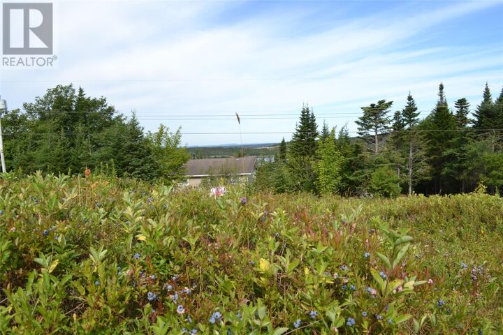 Property Photo:  41 Juniper Crescent  NL A0B 0A7 