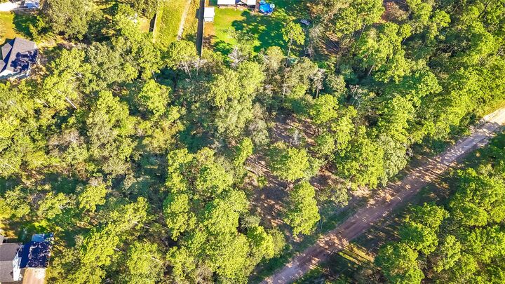 Property Photo: Tbd Summer Place TX 77351