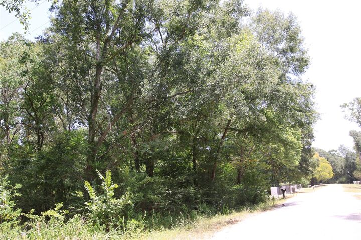 Property Photo: Tbd Dove Creek Drive TX 77331