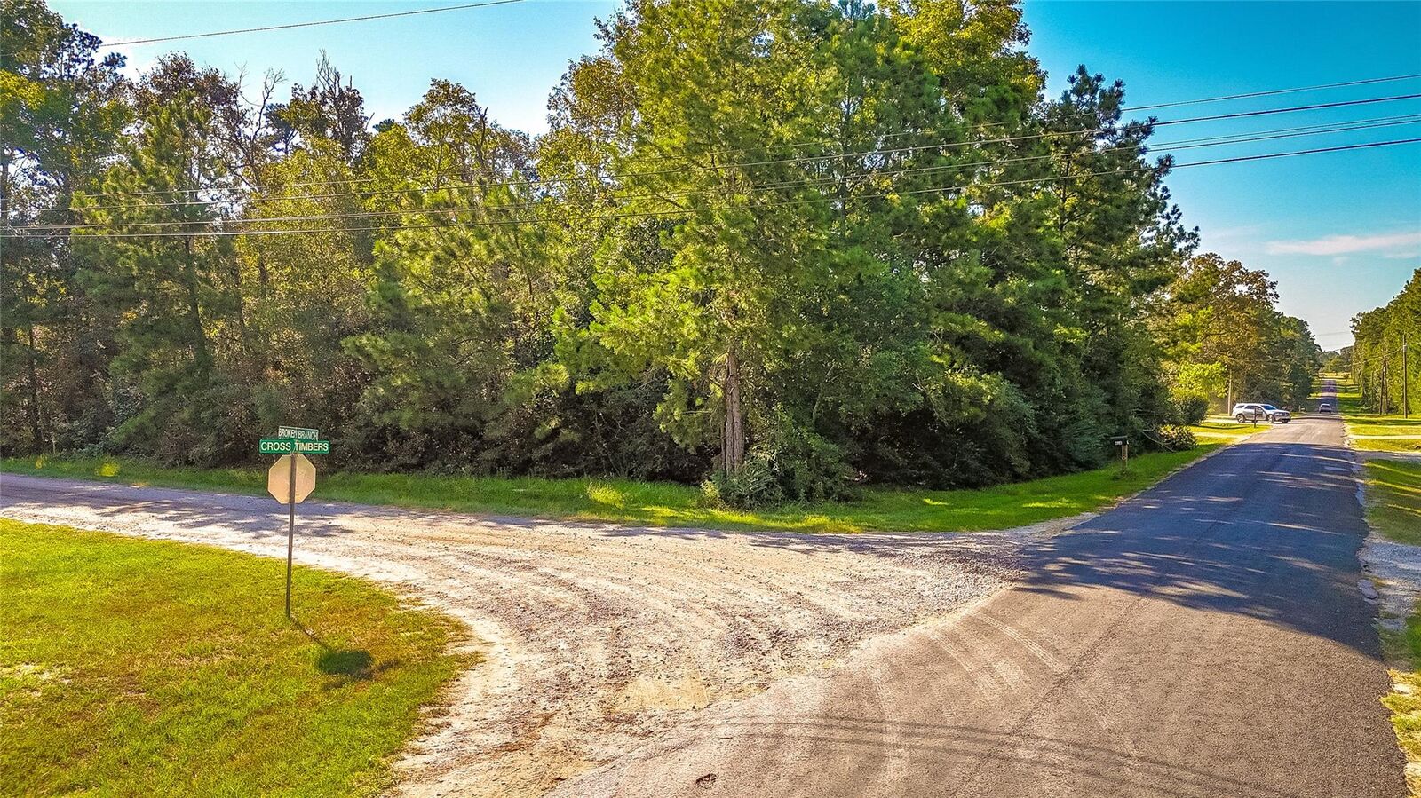 Property Photo: Tbd Broken Branch TX 77351