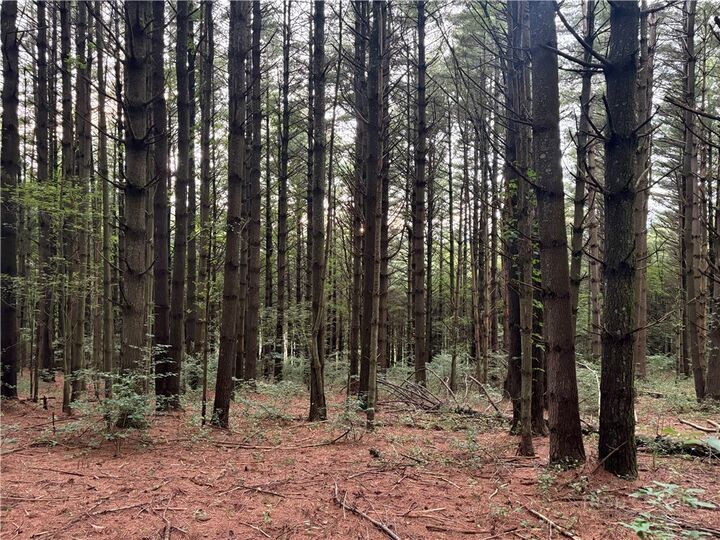 Property Photo:  Lots 12-14 Friendly Lane  NC 28623 