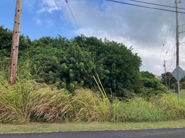 Property Photo:  Kaulua St  HI 96772 