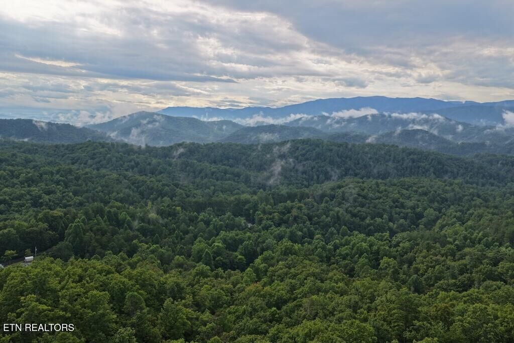 Property Photo:  Lot 26 Shady Oaks Way  TN 37876 
