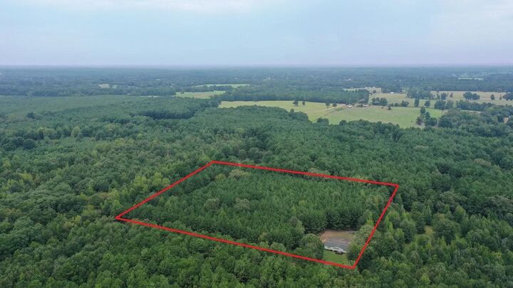 Property Photo: 725 County Road 2359 TX 75566