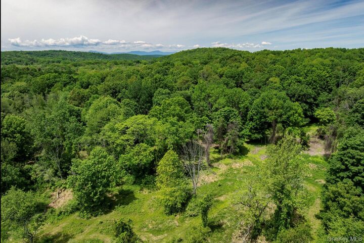 Property Photo: 00 Route 7 NY 12516