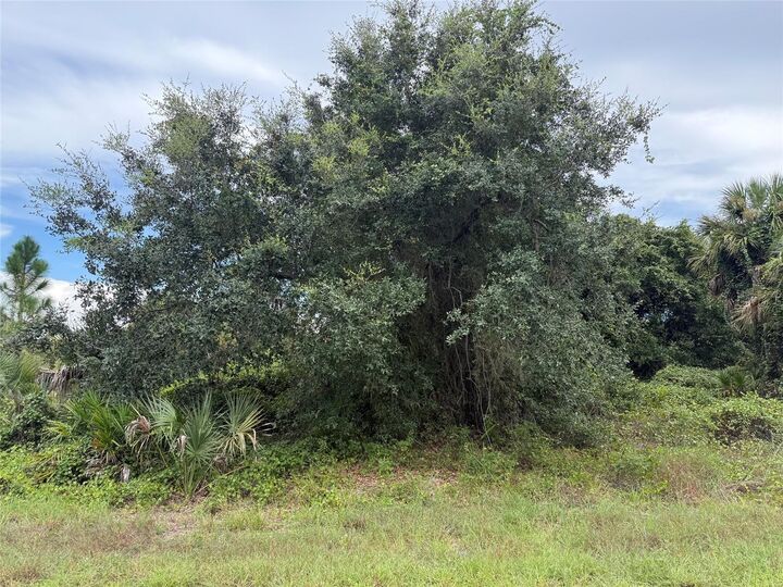 Property Photo: Lot 1 Gaskins Circle FL 34288