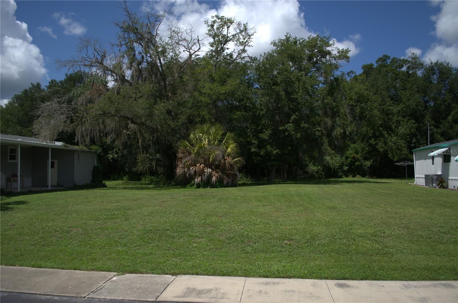 Property Photo:  Muller Road  FL 33540 