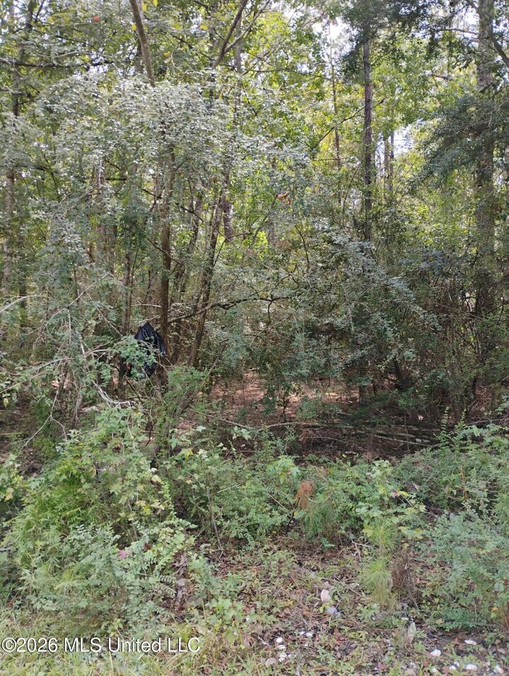 Property Photo:  0 Hilda Street  MS 39503 