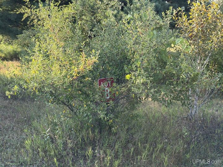 Property Photo: Lot 8 Ski View Drive MI 49870