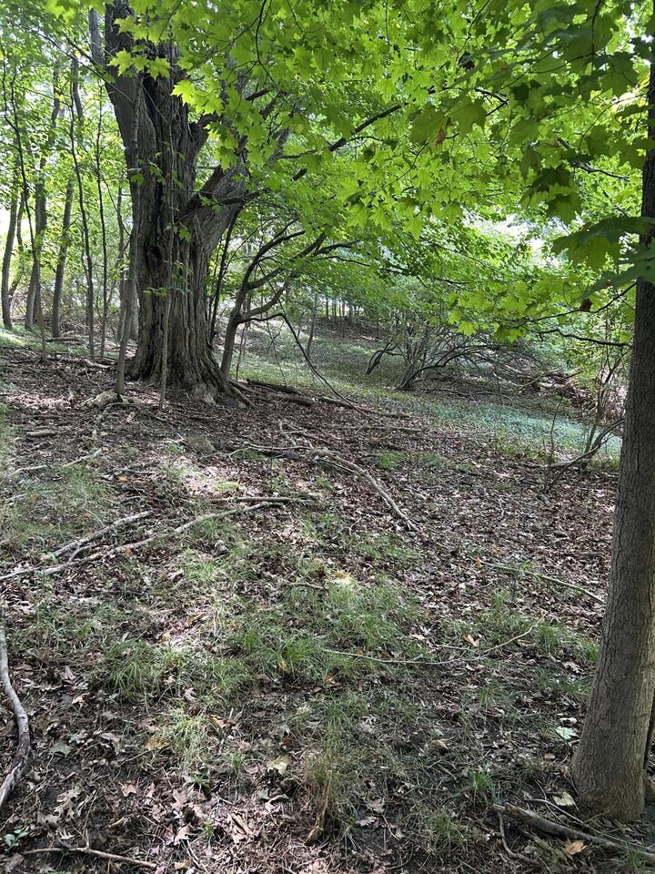 Property Photo: Longbridge West Lot 9 MI 49449