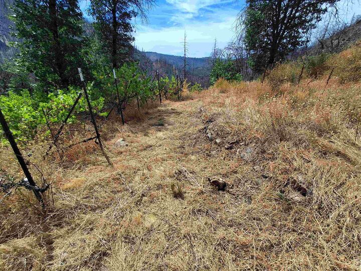 Property Photo: 249 Thompson Avenue CA 95934