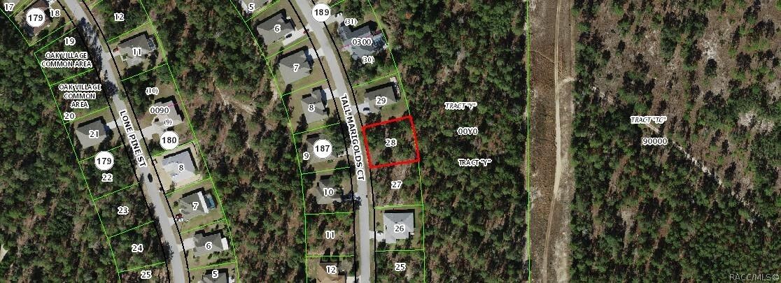 Property Photo:  20 Tall Marigolds Court  FL 34446 