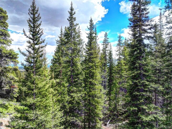 Property Photo:  0 Dry Gulch Road  CO 80440 