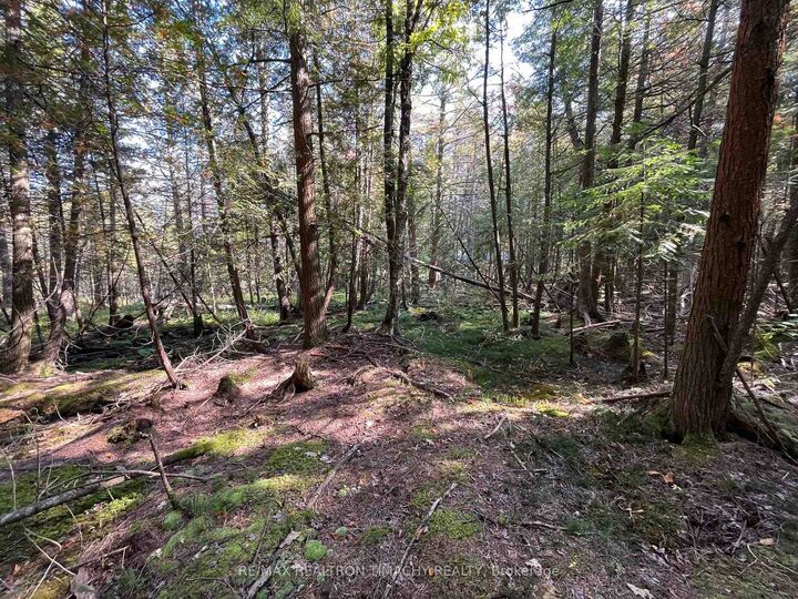 Lot 25 Champlain Road — photo 1