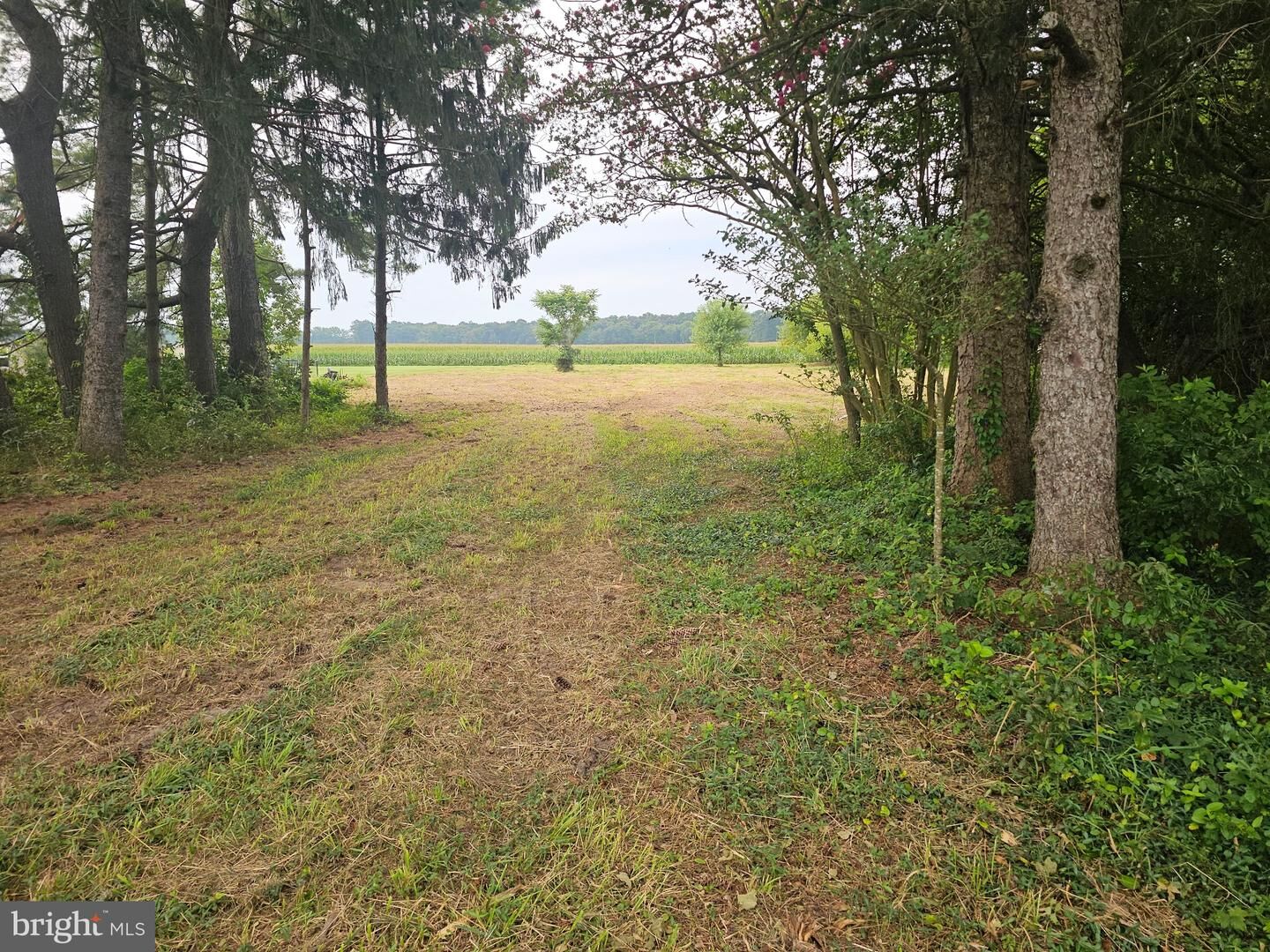 Property Photo: 13096 Russell Road DE 19933