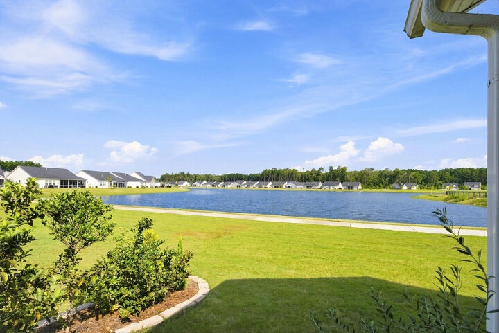 Property Photo:  1119 Kane Blue Run  SC 29485 