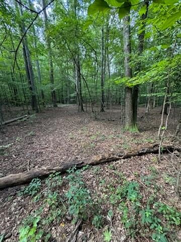 Property Photo:  184 McBride Road  GA 30215 