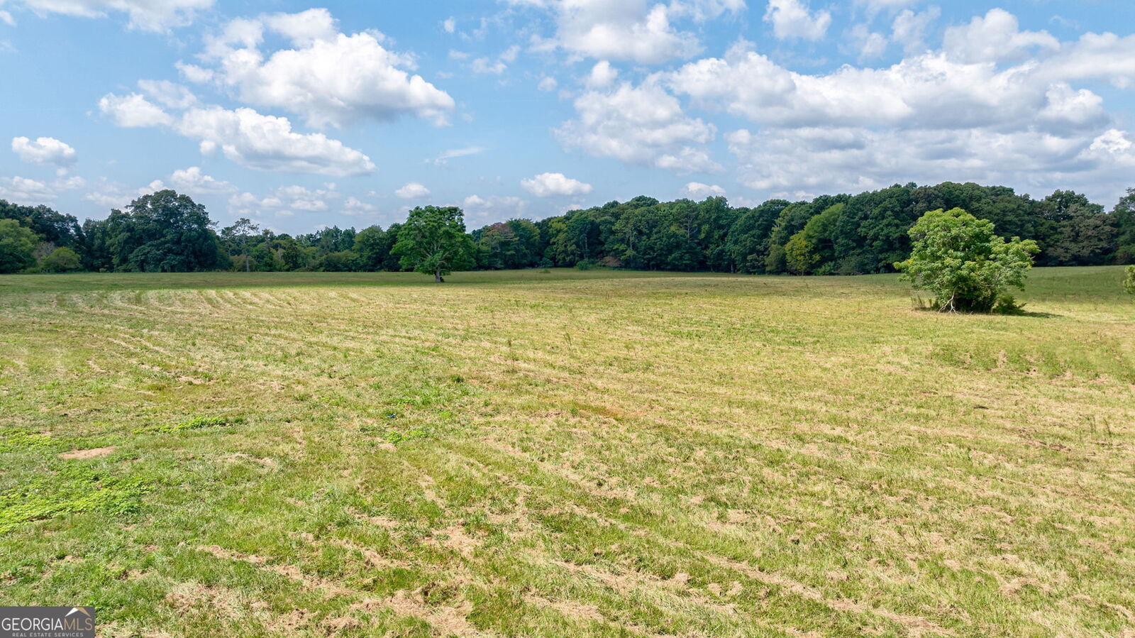 Property Photo:  1160 Middlebrooks Road  GA 30677 