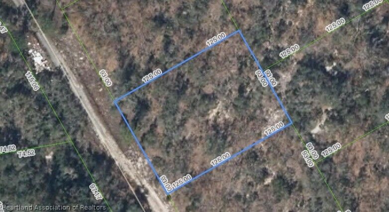 Property Photo:  289 Blue Horizon Drive  FL 33852 