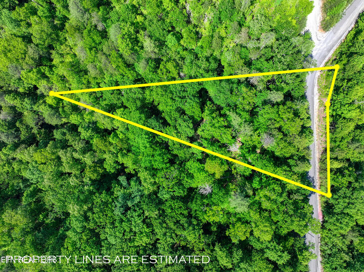 Property Photo:  Lot 13 Mountain Dreams Way  TN 37876 
