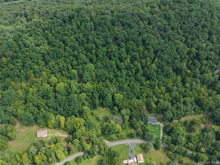 Property Photo:  Twinshaven Road  NY 12765 