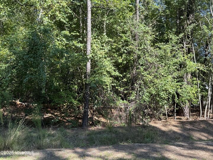 Property Photo:  7657 Main Street  NC 27376 