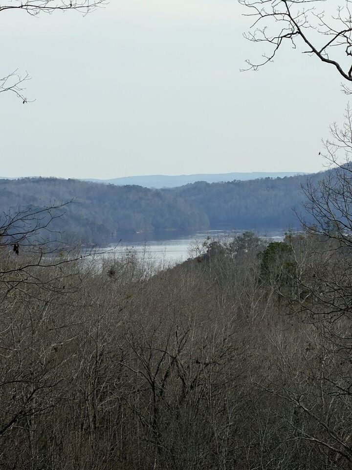 Property Photo:  439 Buck Creek Road  GA 30540 