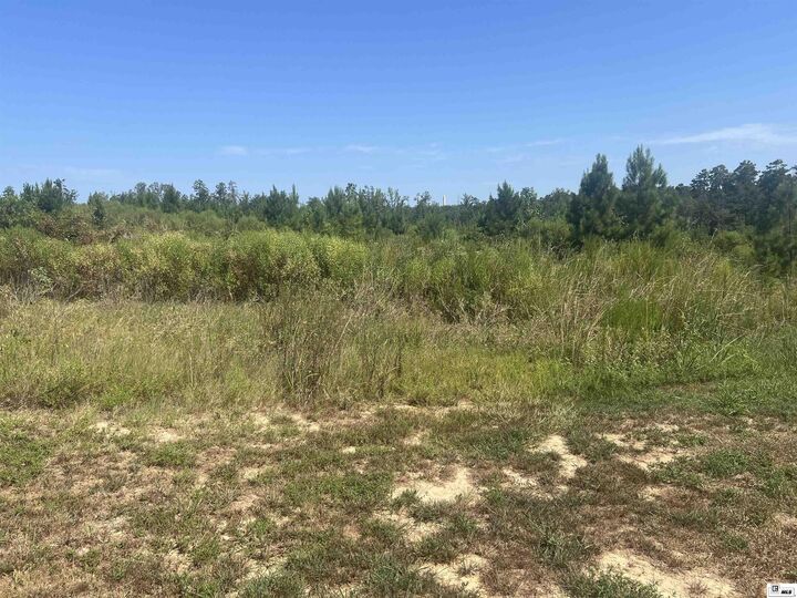 Property Photo:  385 Chief Lane  LA 71225 