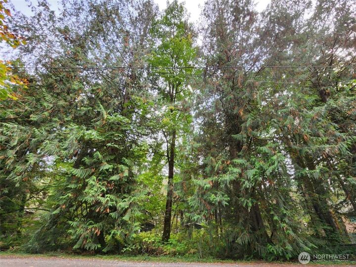 Property Photo: 19504 River Place WA 98294