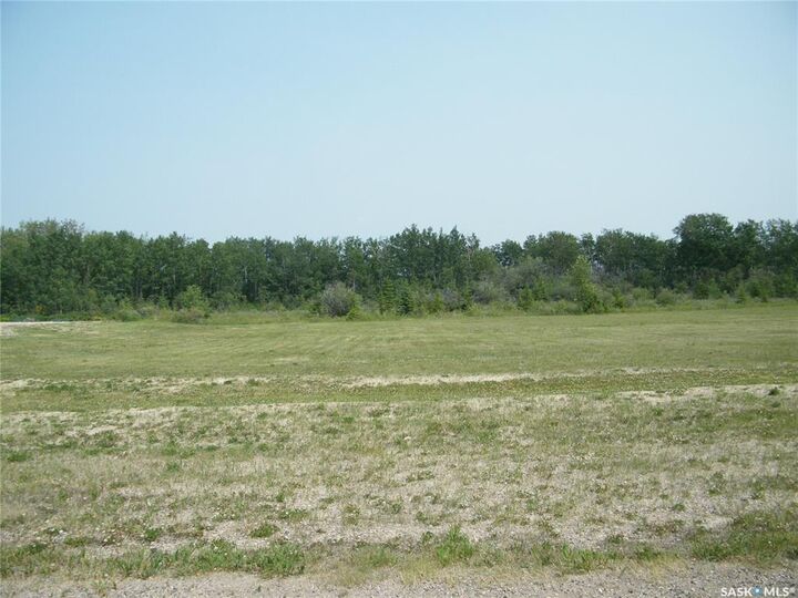Property Photo:  310 Railway Avenue N  SK S0K 2X0 