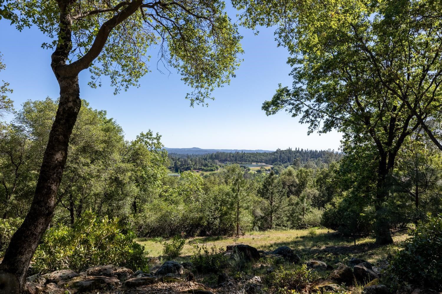 Property Photo: 1235 Forest View Drive CA 95722