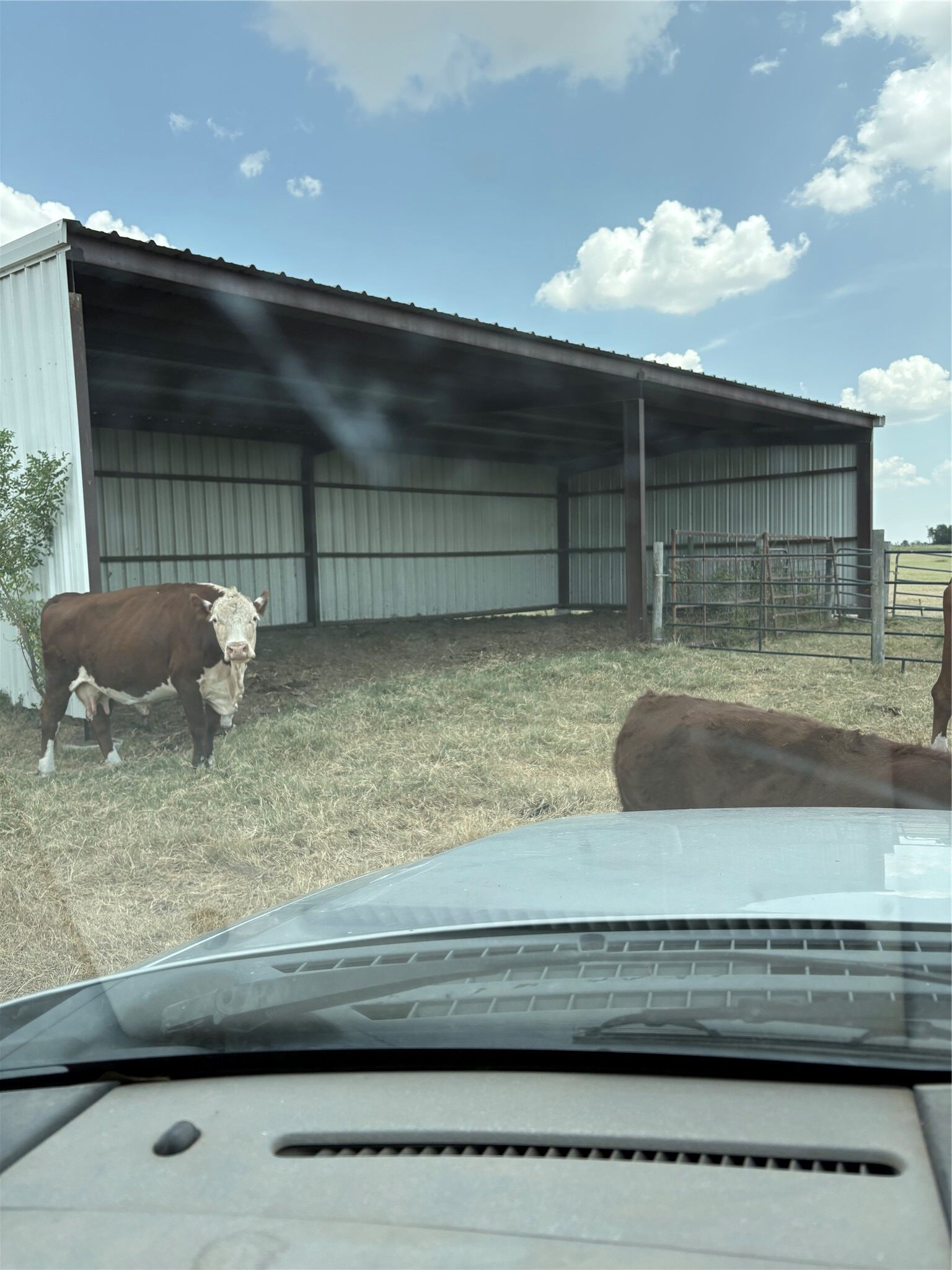 Property Photo: 600 County Road 444 Land TX 76577