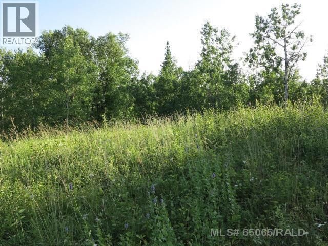 Property Photo:  121 Lakeside Drive  SK S0M 2G0 