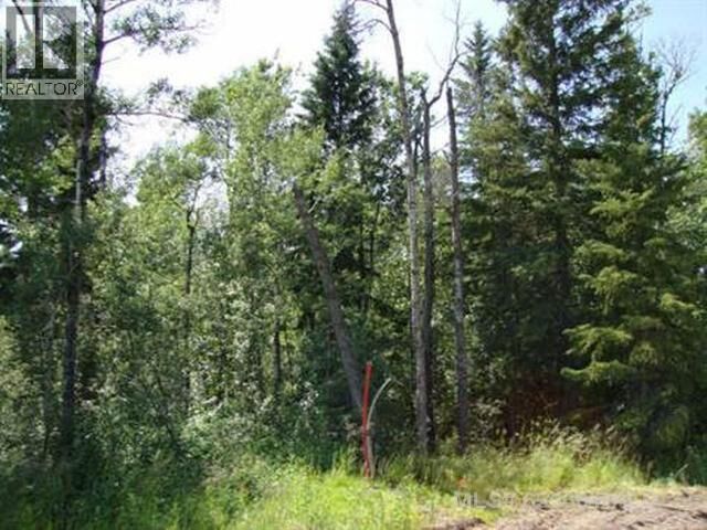 Property Photo:  15 Lakeside Drive  SK S0M 2G0 