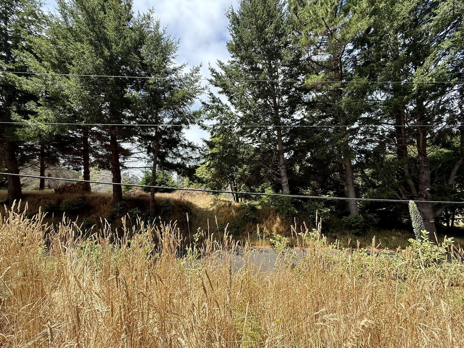 Property Photo:  117 Ridge Road  CA 95589 