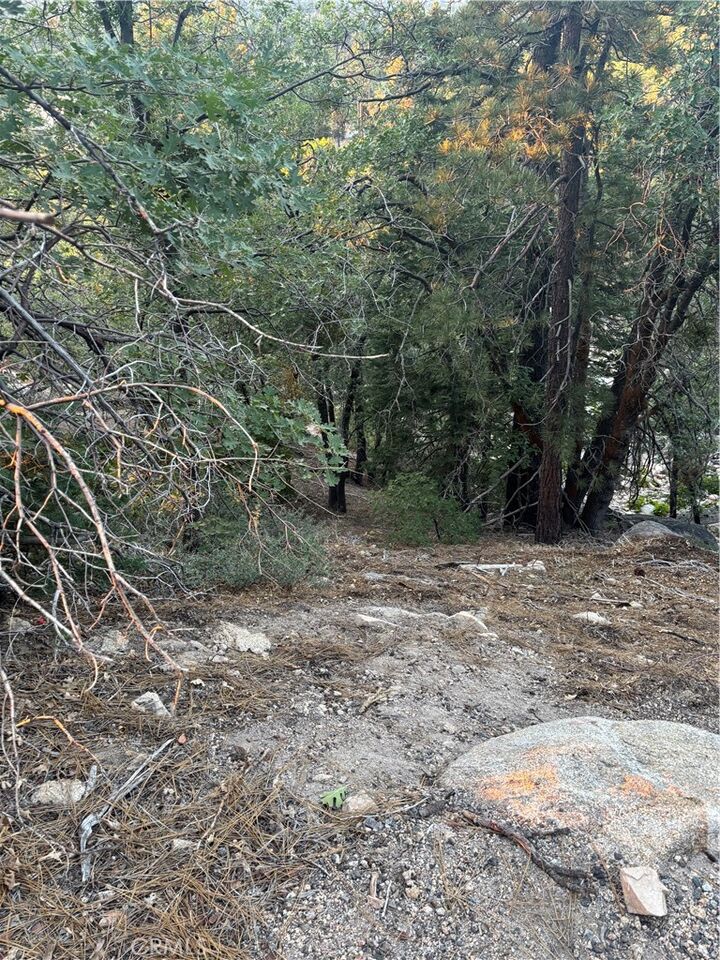 Property Photo:  0 Ridge Dr  CA 92382 