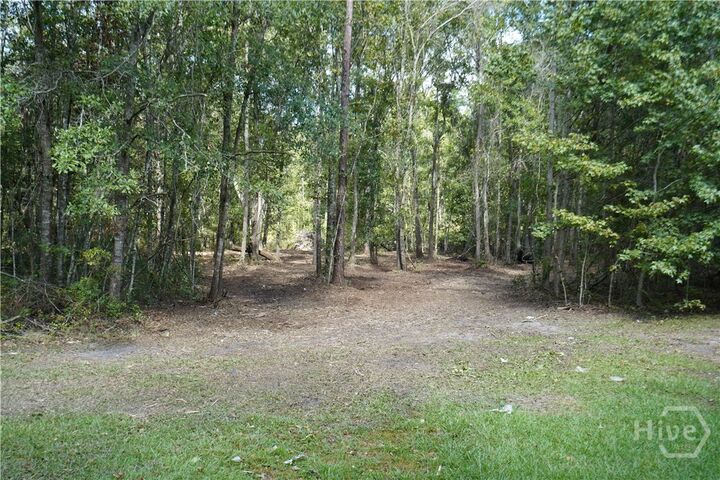Property Photo: 0 Williams Road GA 31312