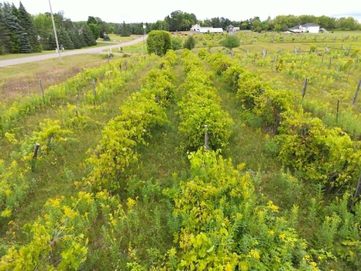 Property Photo: 40306 Torchlight Road MN 56342