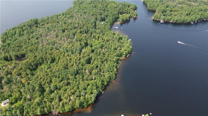 Blade Gold Lake Island — photo 1