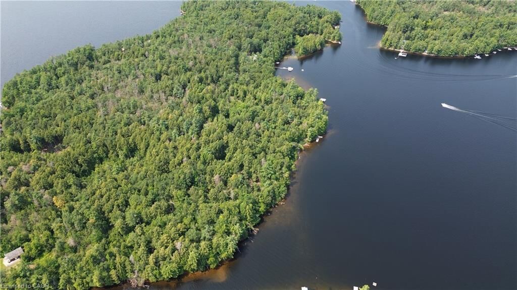 Property Photo:  Blade Gold Lake Island  ON K0L 1J0 